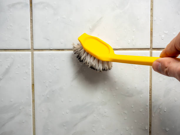 Best Commercial Mold Removal  in Plum, PA