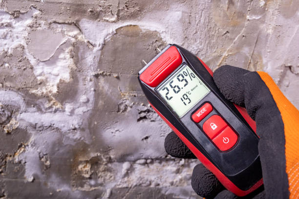 Mold Testing and Removal in Plum, PA