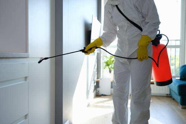 Best Residential Mold Removal  in Plum, PA